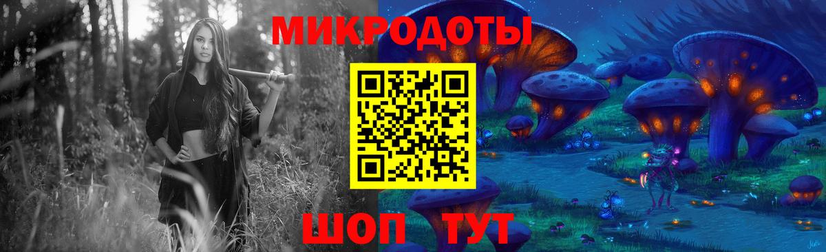 Галлюциногенные грибы Psilocybe Новочебоксарск